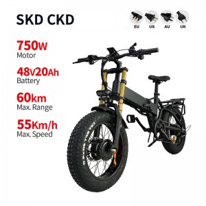 Bicicleta elèctrica DGZC-78 750W 48V 20Ah 55km/h