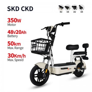 Elektrische fiets GB-60 350W 48V 20Ah 30km/u