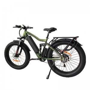 Elektrische fiets JY 1000W 48V 21Ah 55km/u