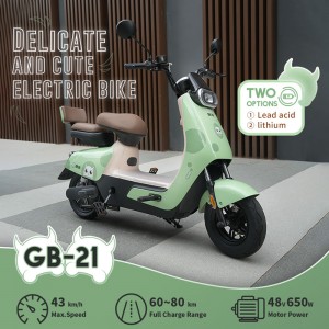 GB-21 650W 48V 20/24Ah 43Km/H Range 60-80Km Electric Bikes