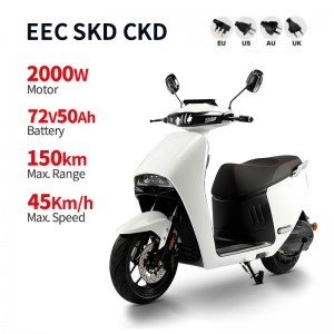 Electric Motorcycle With Pedal 2000W 72V 50Ah 45km/h (EEC Certification)(Model: GOGOPLUS)