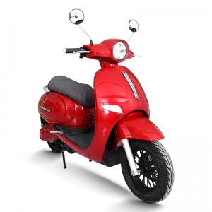 Električni motocikl sa pedalom 1000W-2000W 60V30Ah/72V20Ah 45km/h (EEC certifikat)(Model: LG)