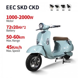 Electric Motorcycle With Pedal 1000W-2000W 72V20Ah 45km/h (EEC Certification)(Model: LMJR)