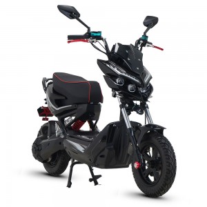 Električni moped XZJ 1000W-1500W 72V 32Ah/100Ah 45km/h