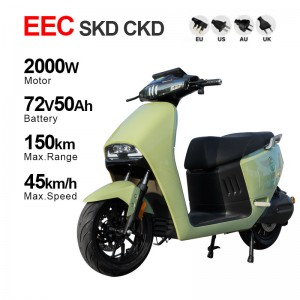Electric Motorcycle With Pedal 2000W 72V 50Ah 45km/h (EEC Certification)(Model: GOGOPLUS)
