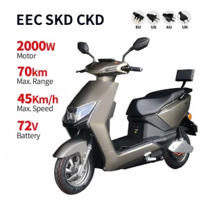Elektrisches Motorrad mit Pedal 2000W 72V20A/32A 45km/H (EWG-Zertifizierung) (Modell: YW-06)