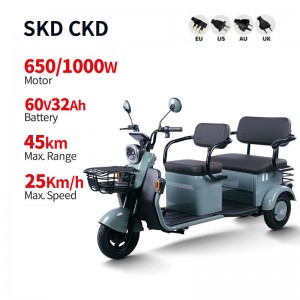 Electric Passenger Tricycle M9 650W/1000W 60V 32Ah 25km/h