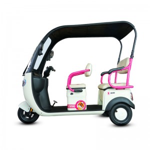 I-Electric Passenger Tricycle P9 500W 48V/60V 20Ah 25km/h