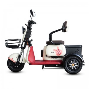 Electric Passenger Tricycle T3 500W 48V/60V 20Ah 25km/h