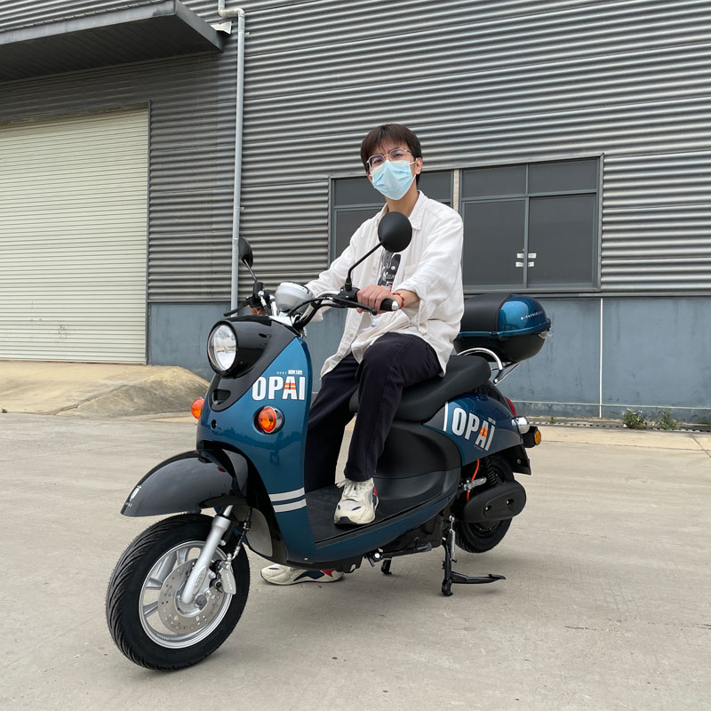 Electric Moped Electric Motorcycle with Pedal EEC COC CKD GW02