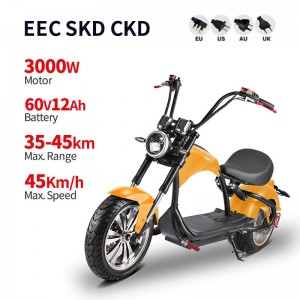 دراجة نارية هارلي الكهربائية CP4 3000W 60V 12Ah 45 كم / ساعة (EEC)