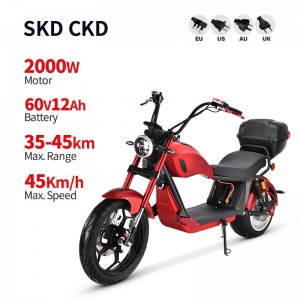 I-Harley Electric Motorcycle CP6 2000W 60V 12Ah 45km/h (EEC)