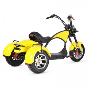 Isithuthuthu sikaHarley Electric M3 2000W 60V 12Ah/20Ah 35km/h