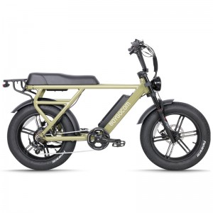Bicicleta elèctrica de bateria de liti JG-TDN30Z 500W 48V 12.8Ah 32Km/H