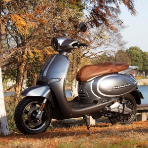 Электрический мотоцикл Тоторо 3000 Вт 72 В 52 Ач 80 км/ч с педалью