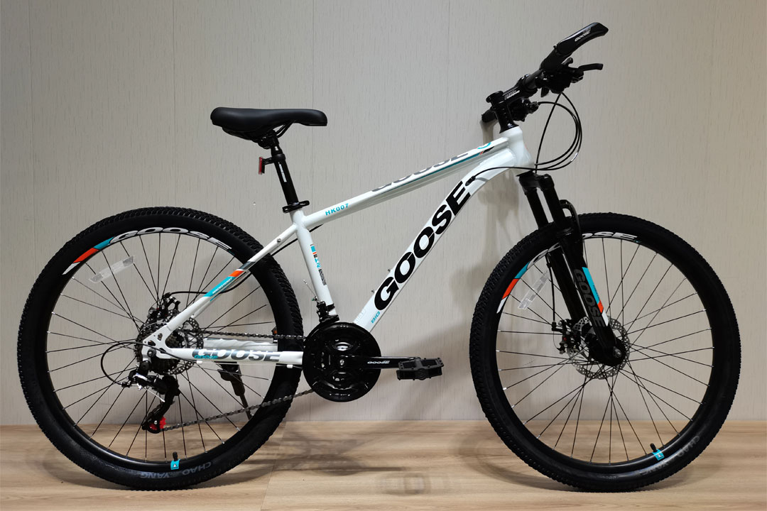 Unleashing Adventure: Exploring the Features of Wholesale OEM Aluminum Alloy Frame Electric Mountain Bikes