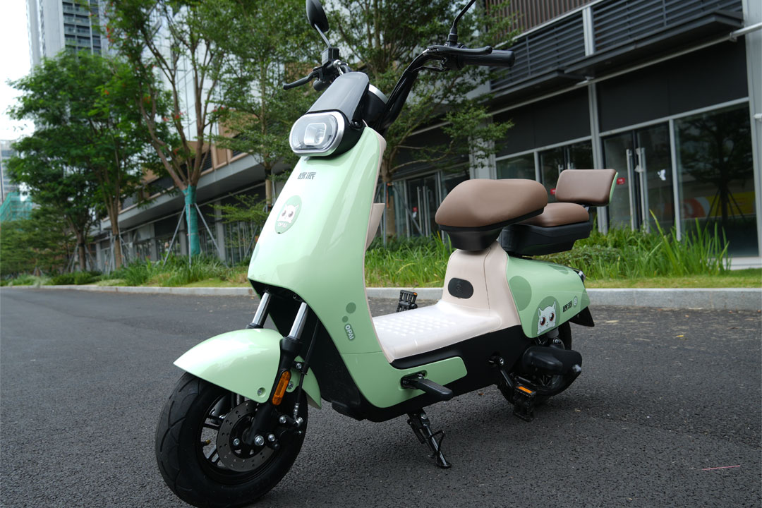 Unleashing the Joy of Riding: The 48V Moped Experience