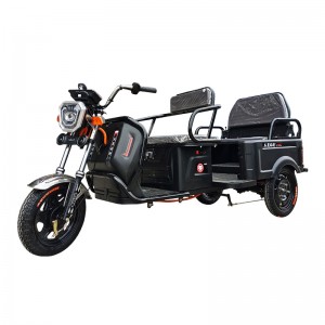 YB1095 650W 48V 60V 58Ah 38Km/H Lead Acid Battery Electric Tricycle