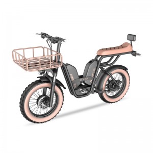 Z-3 1000W 48V 22Ah 52km/h Extended Seat Lithium Battery Electric Bike