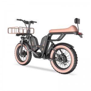 Z-3 1000W 48V 22Ah 52km/h Extended Seat Lithium Battery Electric Bike
