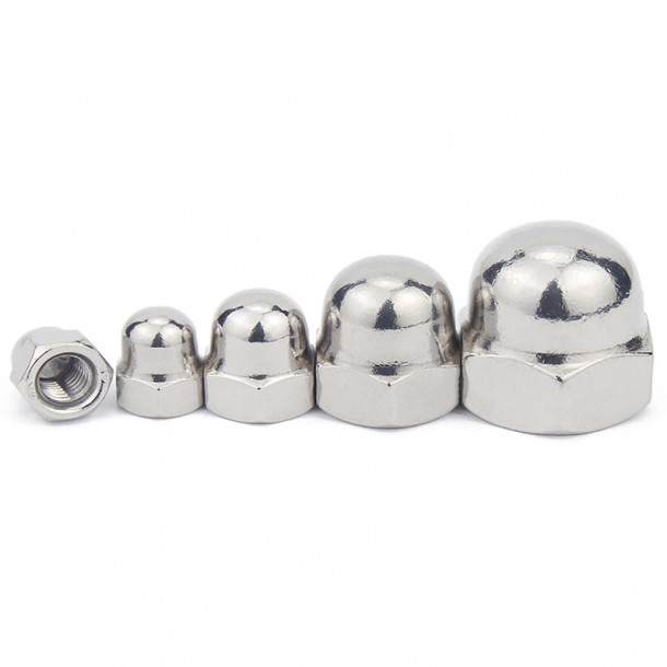 Stainless Steel SS201 SS304 SS316 DIN1587 Hex Domed Cap Nuts