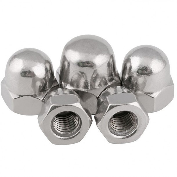 Stainless Steel SS201 SS304 SS316 DIN1587 Hex Domed Cap Nuts