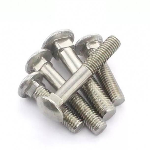 Stainless steel Carriage Bolt DIN 603