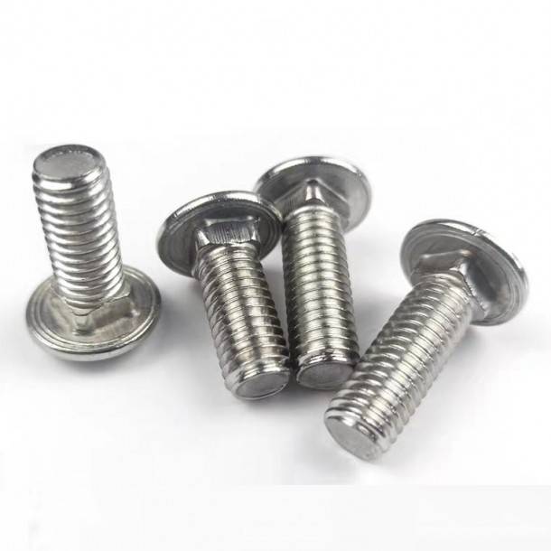Stainless steel Carriage Bolt DIN 603
