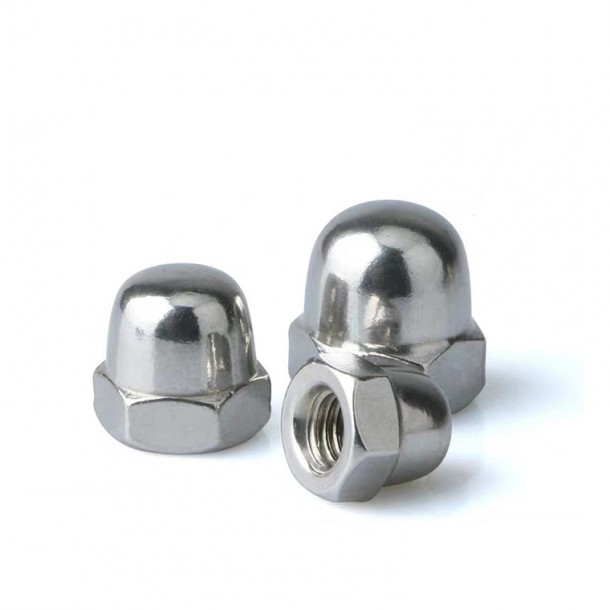 Carbon Steel/Stainless Steel Hexagon domed cap nut