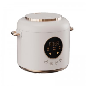 New Design Small Mini Cooker for Home Appliance Kitchen Use