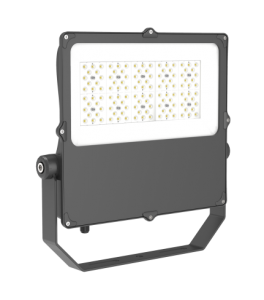 Top Suppliers outdoor LED RGB Projector Lampu Floodlight kalawan Jauh Controller