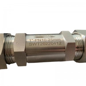 SS304 DN25 NPT female PN10 stainless steel check valve High Pressure Non Return Cracking 1 psi Swagelok Parker check valves