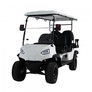 Elektresch Golf Cart Customized Golf Buggy 6 Seat ...