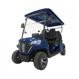 චීන තොග අභිරුචිකරණය කරන ලද ලිතියම් බැටරි ආසන 4 FORGE G4 Electric Golf Cart Golf Buggy