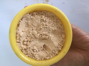 China Diatomaceous Diatomite Earth Powder