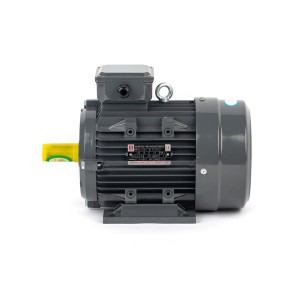 Wholesale Slip Ring And Squirrel Cage Induction Motor - Ie2/Ie3 Efficiency Cast Iron Three Phase AC Electric Motor with 380V 50Hz – Dagao
