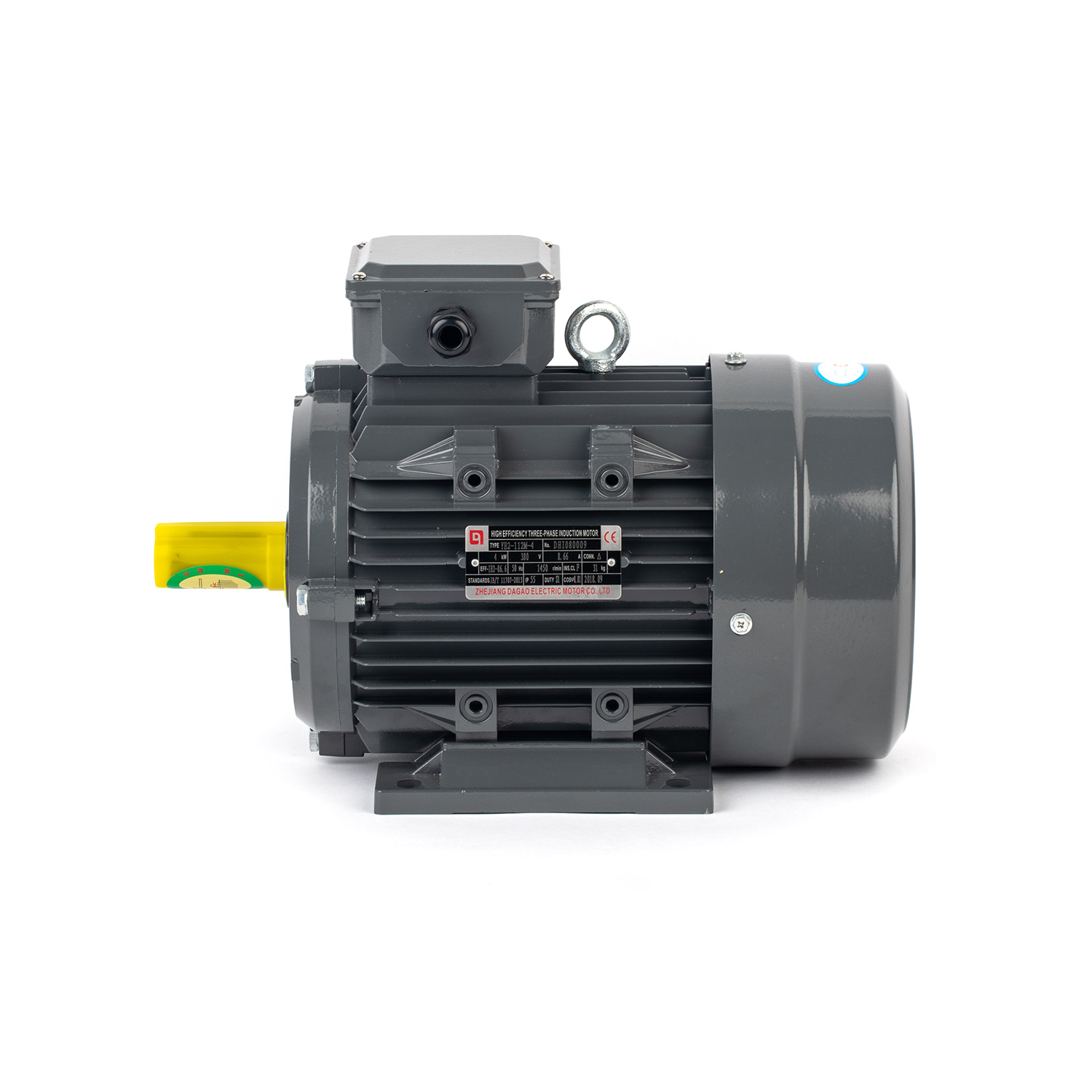 OEM Supply Closed Loop Control Of Induction Motor - Ie2/Ie3 Efficiency Cast Iron Three Phase AC Electric Motor with 380V 50Hz – Dagao