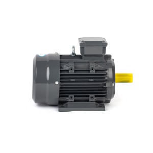 Ie2/Ie3 Efficiency Cast Iron Three Phase AC Electric Motor with 380V 50Hz