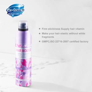 Reasonable price for China Private Label Free Sample Hair Mousse Styling Strong Hold Foam Mousse in Hair Styling Products