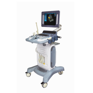 Chinese Professional Dsc Immunofluorescence - Full Digital Color Doppler Ultrasound Diagnostic System(K12) – DSC