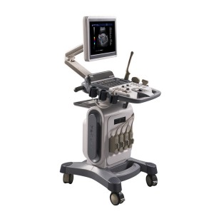 Intrauterine Ultrasound Guidance System (600A-5)
