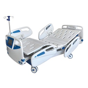 ZL-A006 six-function electric bed