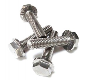 DIN933 Stainless Steel 304 316(A2 A4) Hexagon Bolt With Flange
