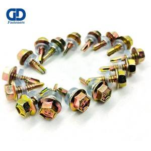 Professional China Truss Head Self Drilling Screw - Hex head self drilling screw #10 – DD Fasteners