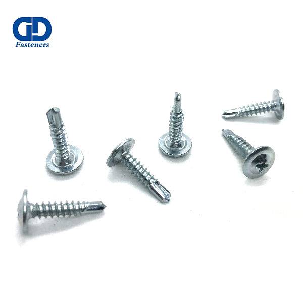 Quality Inspection for Tata Self Drilling Screw - Truss head self drilling screws – DD Fasteners