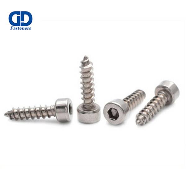 Stainless Steel Hexagon socket with cylindrical Head STS1