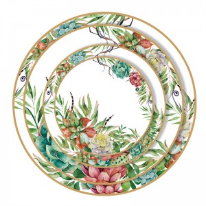 High quality wedding bone china ceramic plate set printed with succulent plants