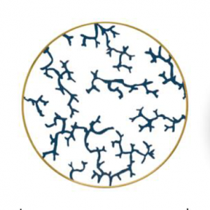Matte gold rimmed ceramic plate porcelain dinner bone china plates sets