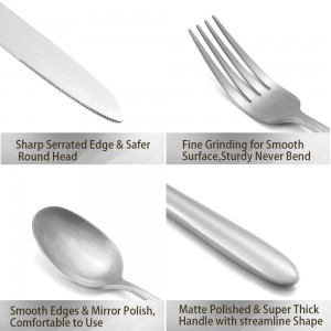 Stainless Steel Matte Silver Silverware Set na may Color Box