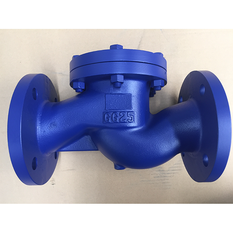 DIN ductile iron swing check valve
